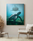 Shark Turtle