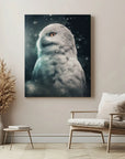 Snowy Owl