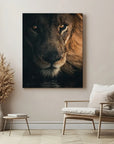 Stare Lion