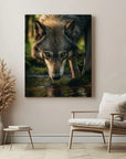 Wolf Drinking Water
