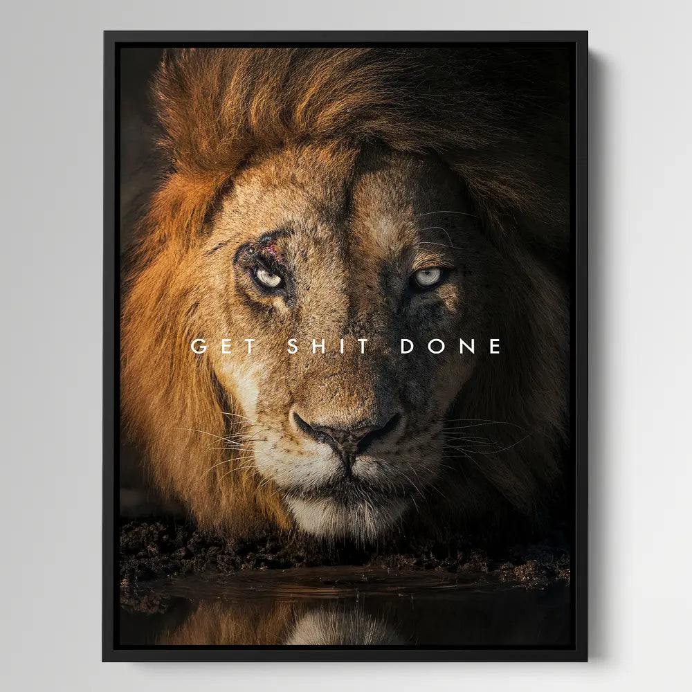 Lion Get Shit Done