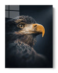 Eagle Night Sight