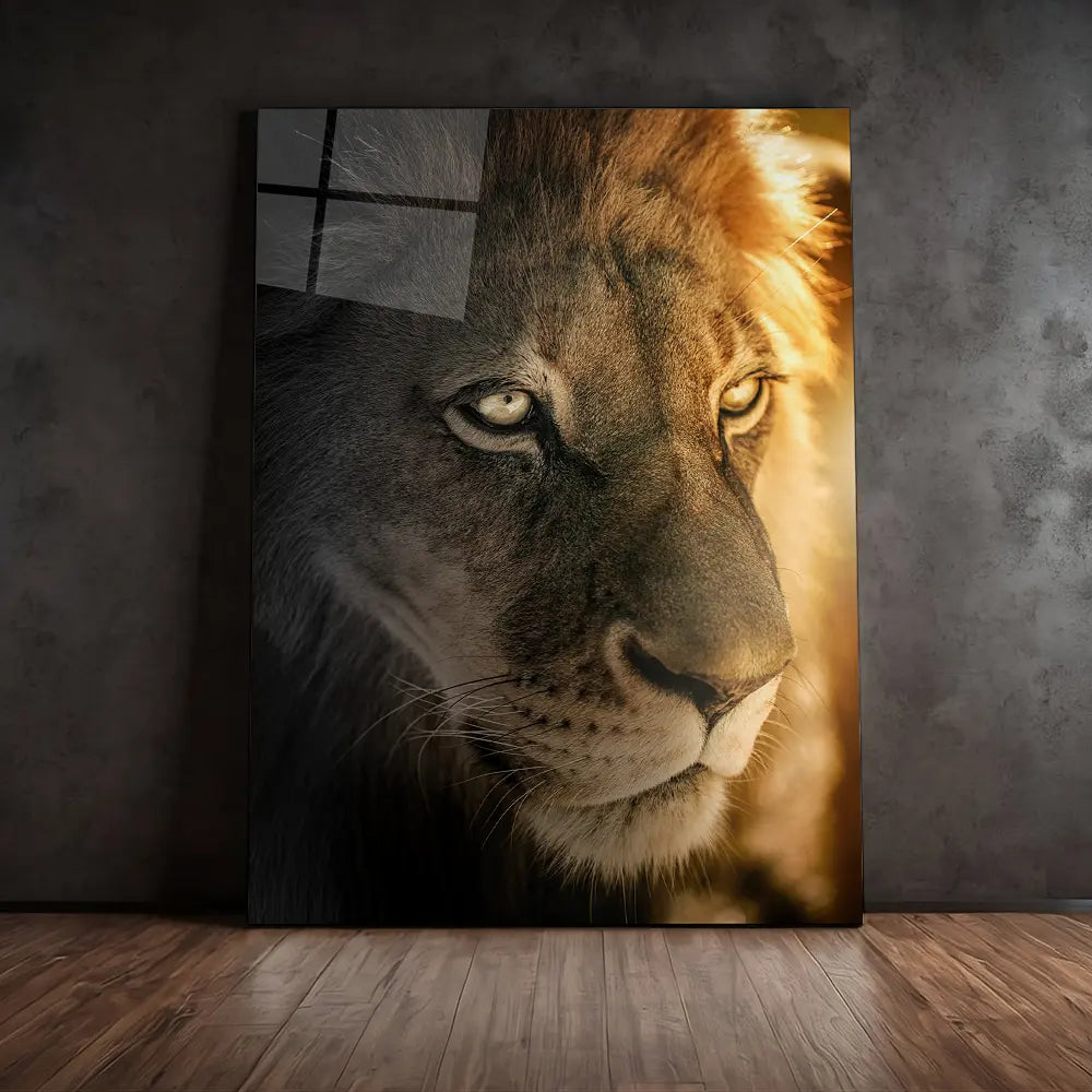 Golden Hour Lion