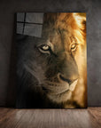 Golden Hour Lion