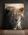Blue Eyed Cheetah