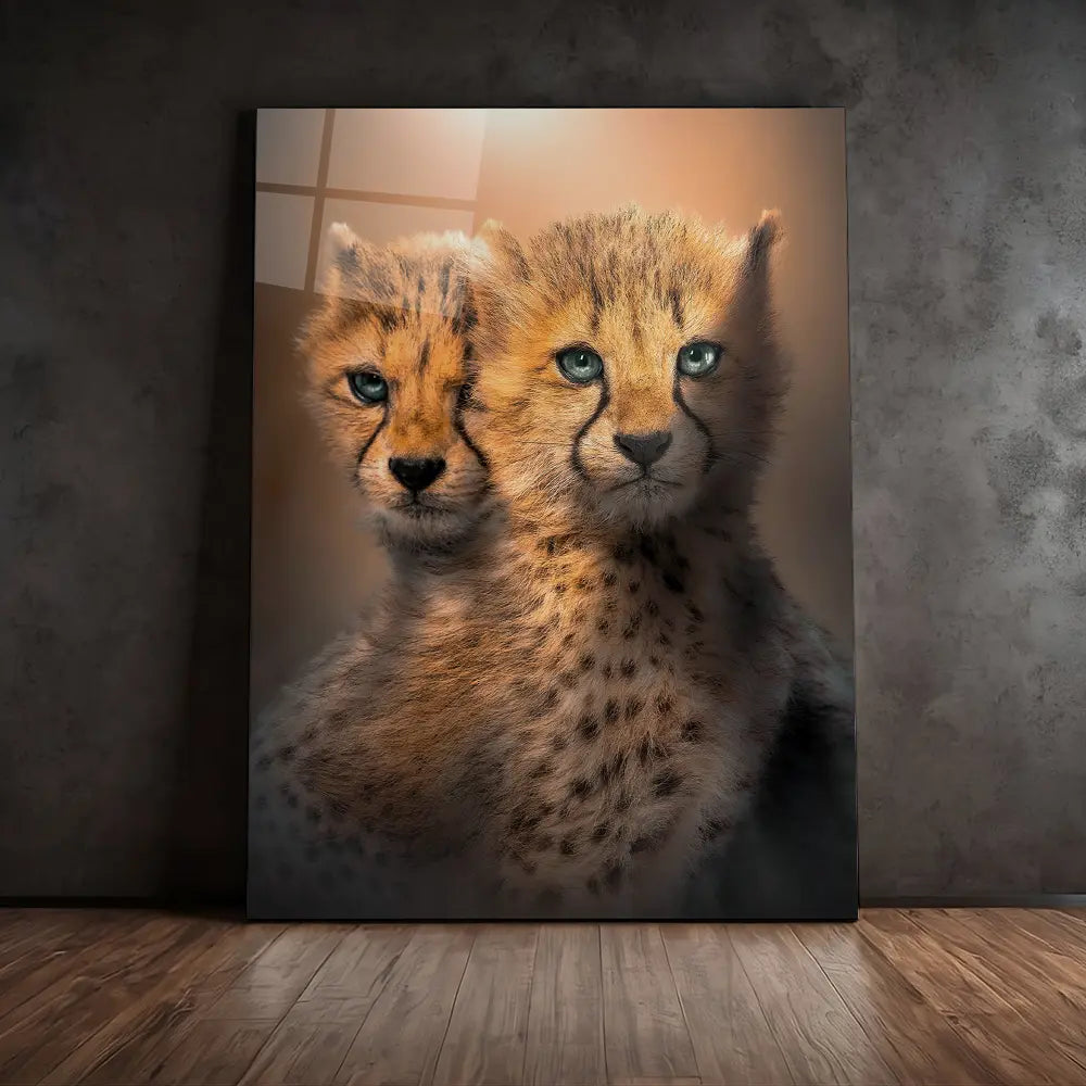 Cheetah Cubs