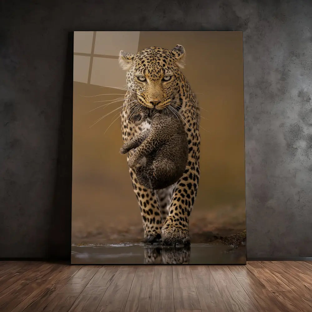 Cub Carrier