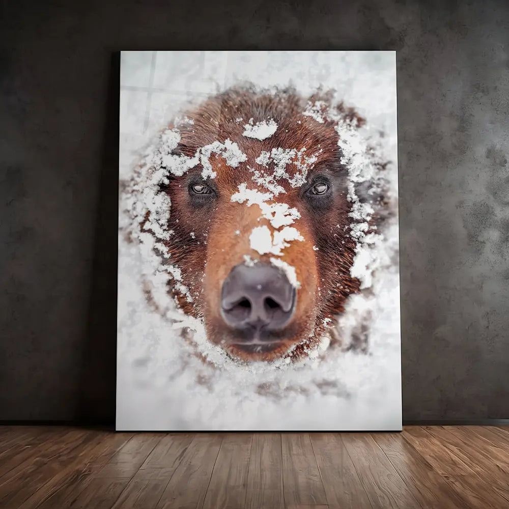 Hiding Bear