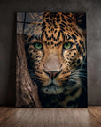 Hiding Leopard