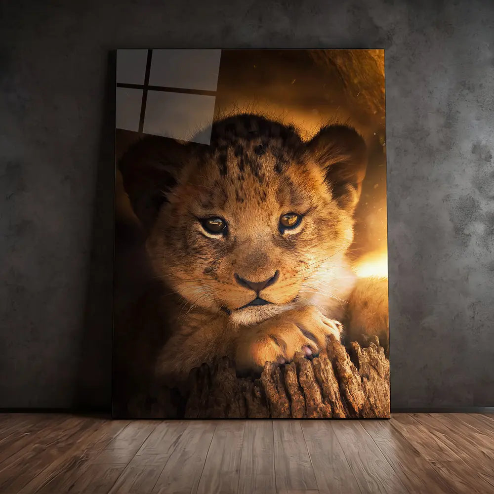Lion Cub