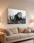 Lion Sheeps