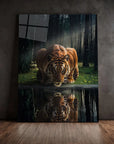 Tiger in The Woods