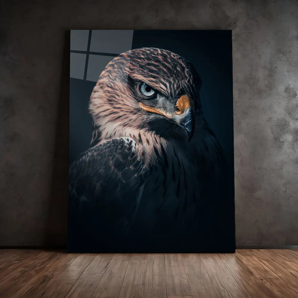 Hawk Vision