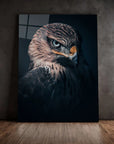 Hawk Vision