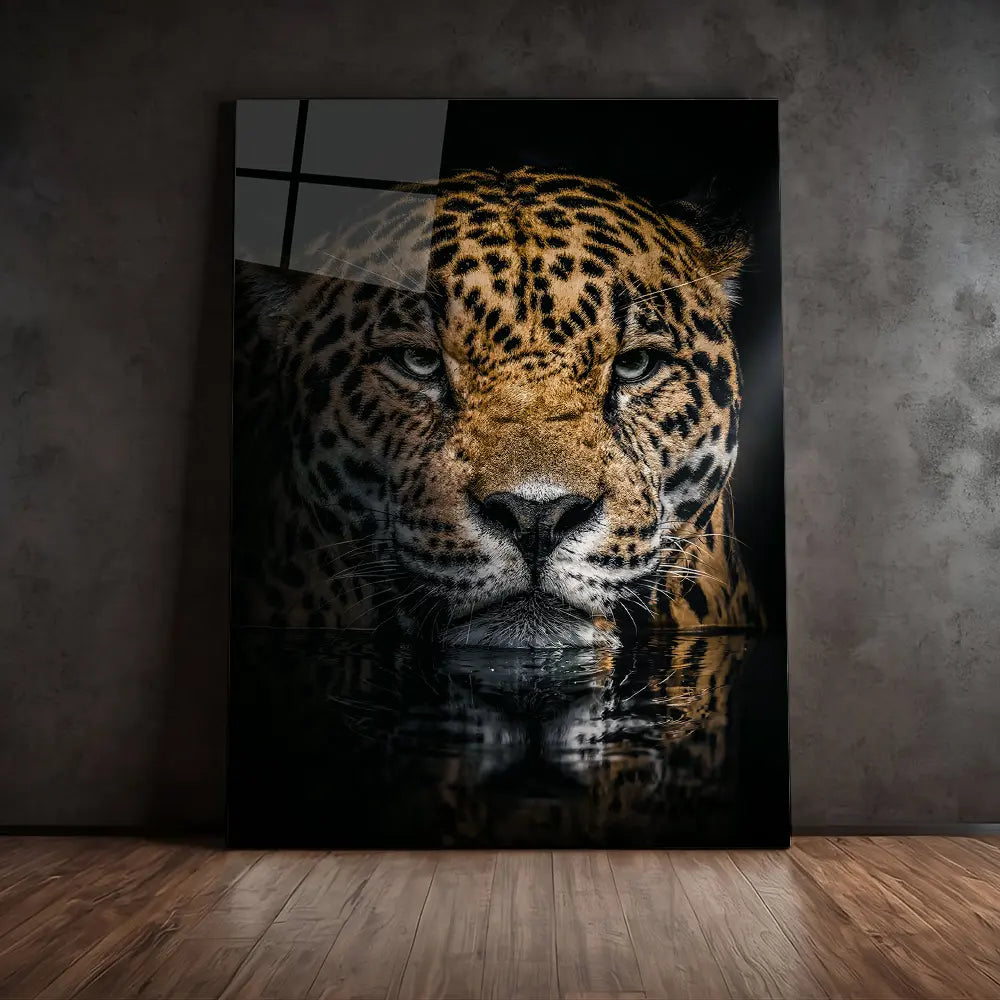 Jaguar Reflection