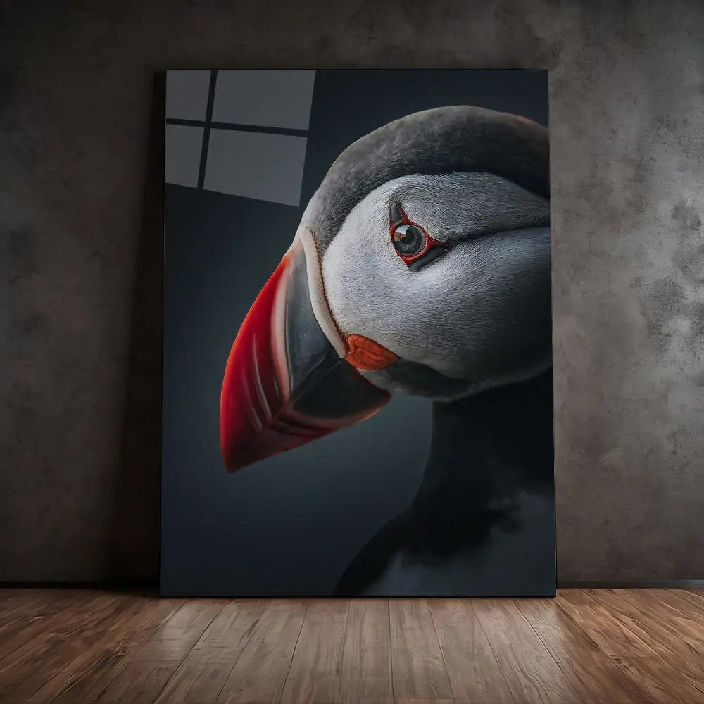 Moody Atlantic Puffin