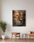 Lioness Focus
