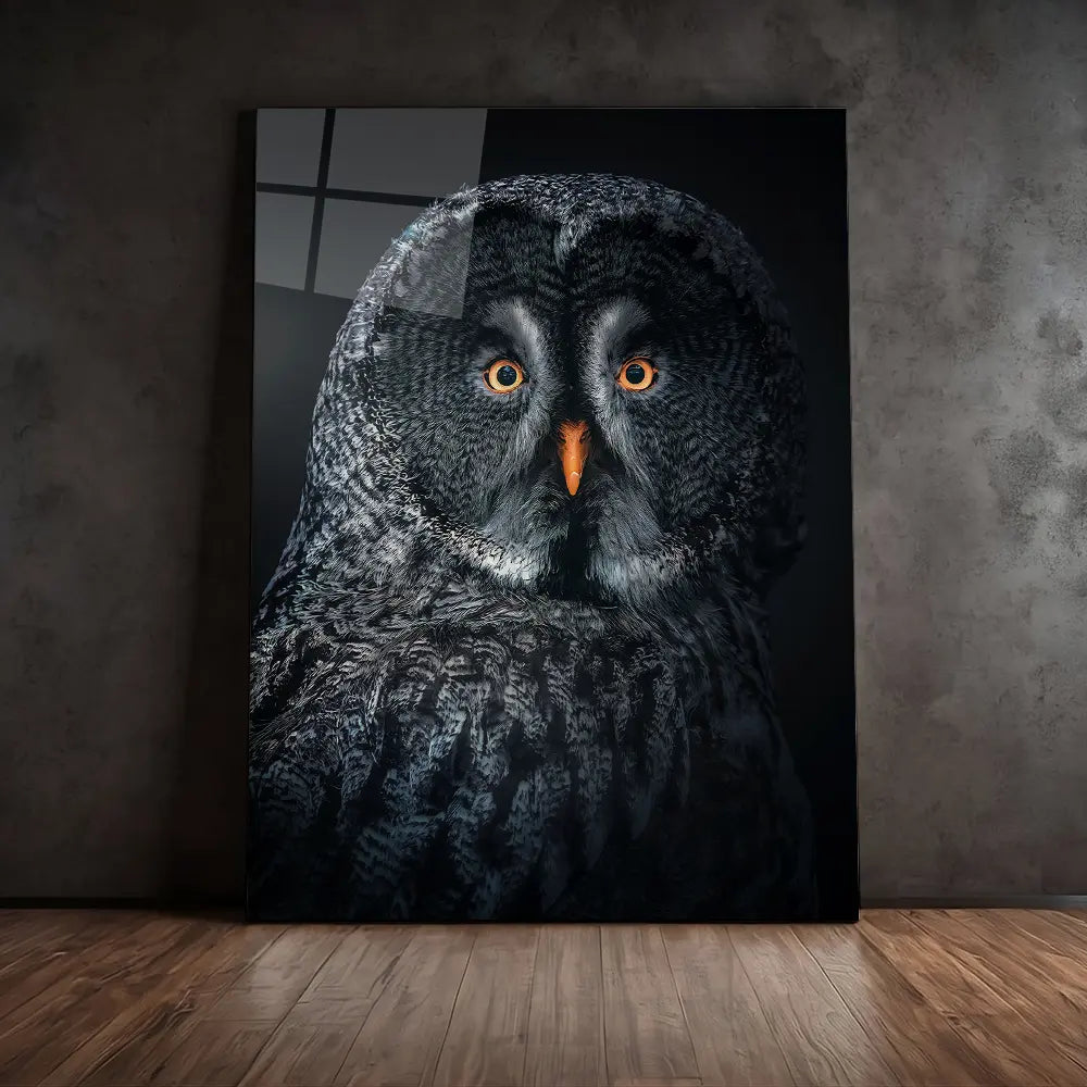 Owl At Night