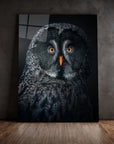 Owl At Night