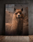 Alpaca Dust