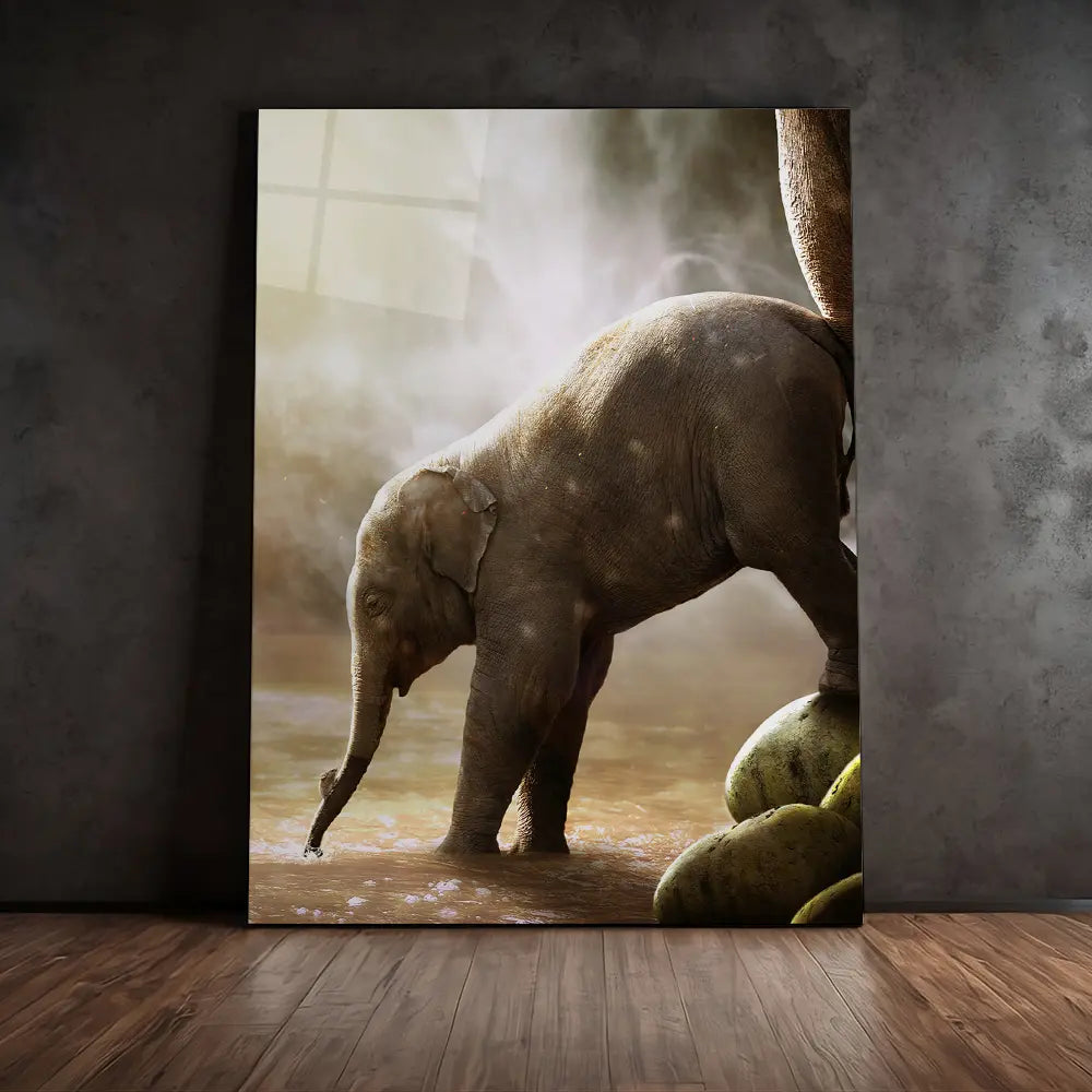 Baby Elephant