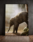 Baby Elephant