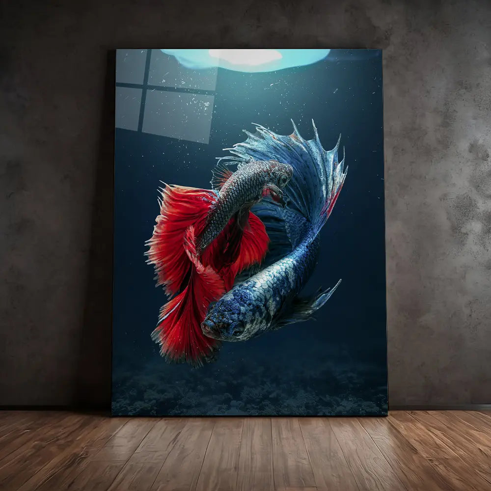 Betta Jellyfish