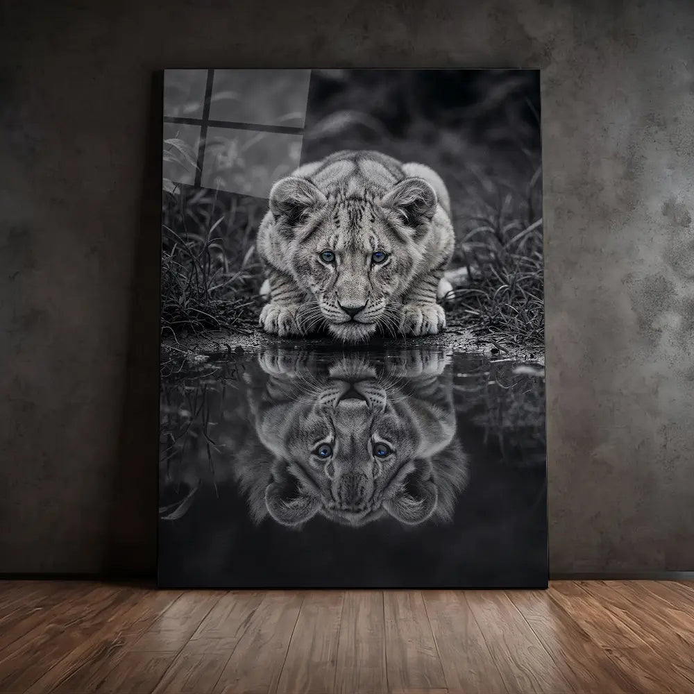Black And White Lion Cub