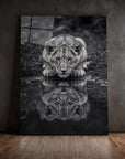 Black And White Lion Cub