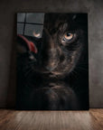 Black Jaguar Cub