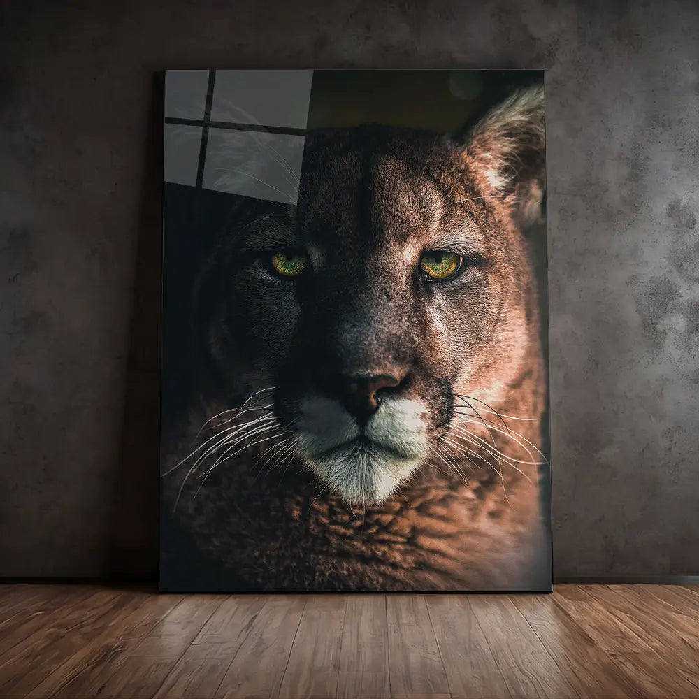 Bobcat