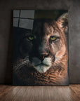 Bobcat