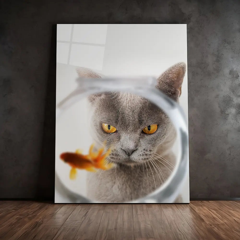 Cat Fish