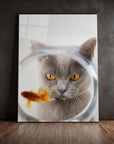 Cat Fish