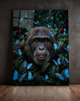 Chimp Butterflies