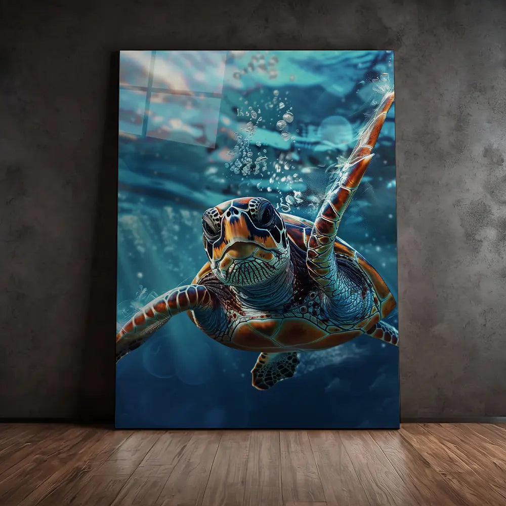 Clear Turtle