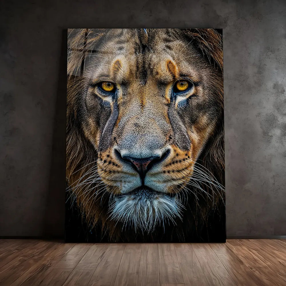 Close Up Lion