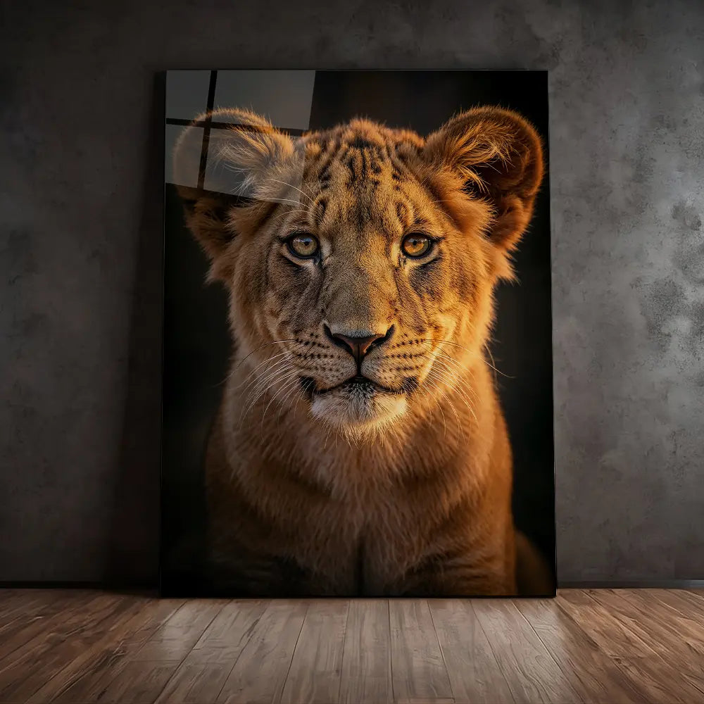 Cute Lion Cub
