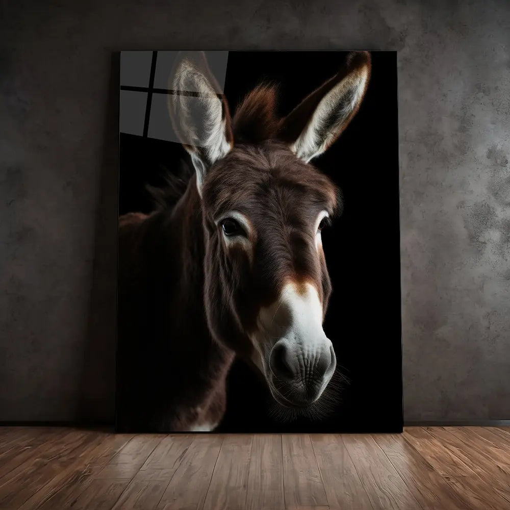 Donkey Black Portrait