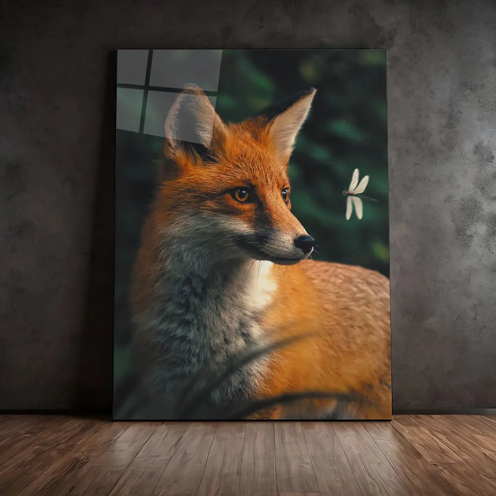 Dragonfly Fox
