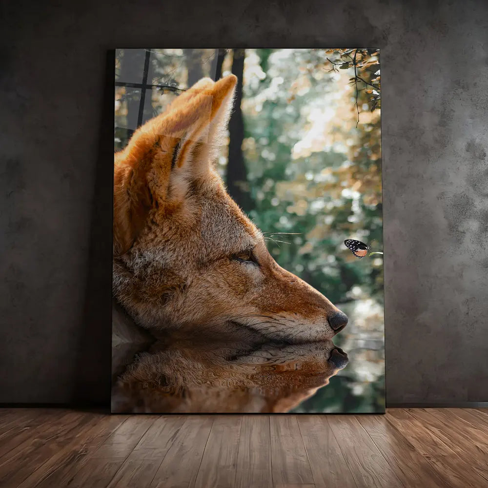 Fox Butterfly Reflection
