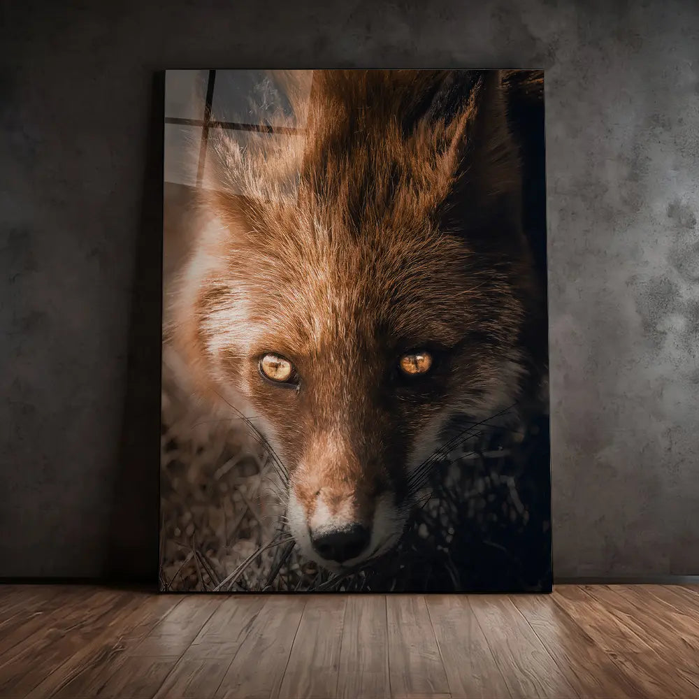 Fox Eyes