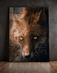 Fox Eyes