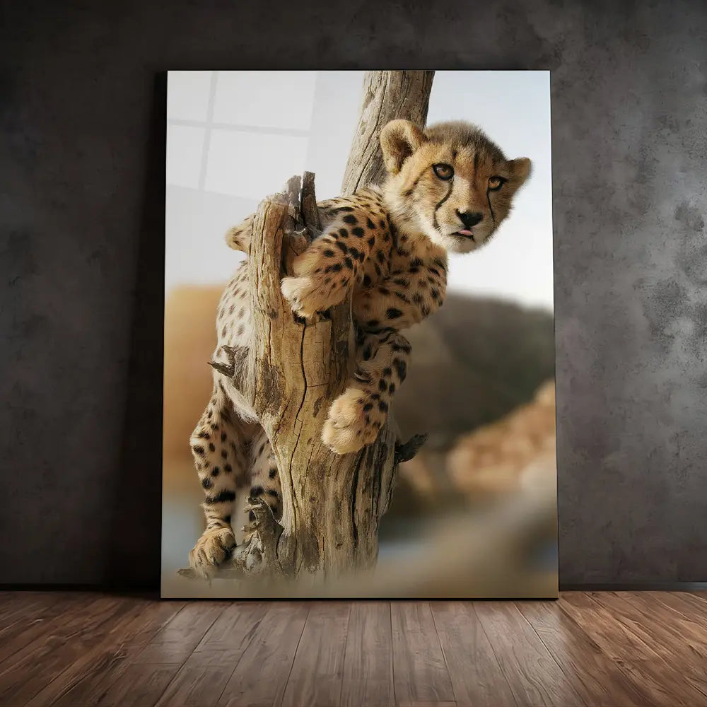 Hanging Cheetah Cub
