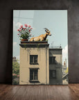 High Goat