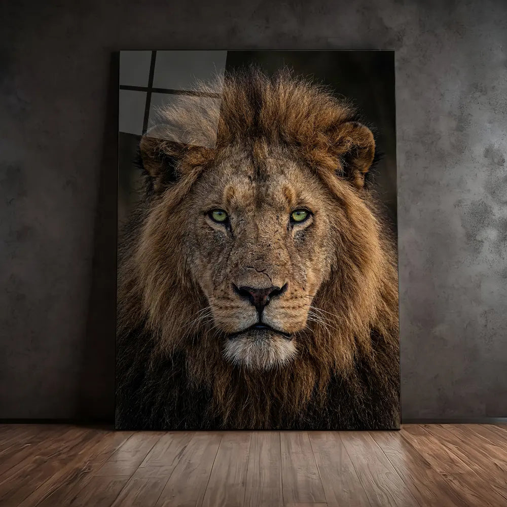 Lion Green Eyes