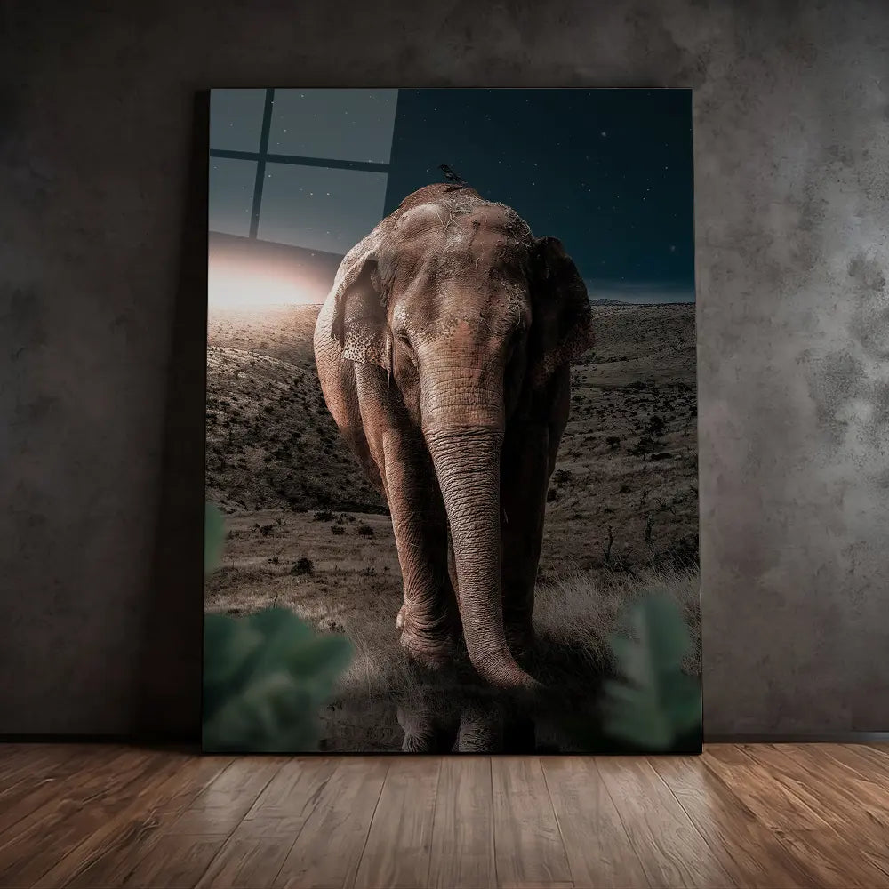 Midnight Elephant