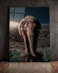 Midnight Elephant