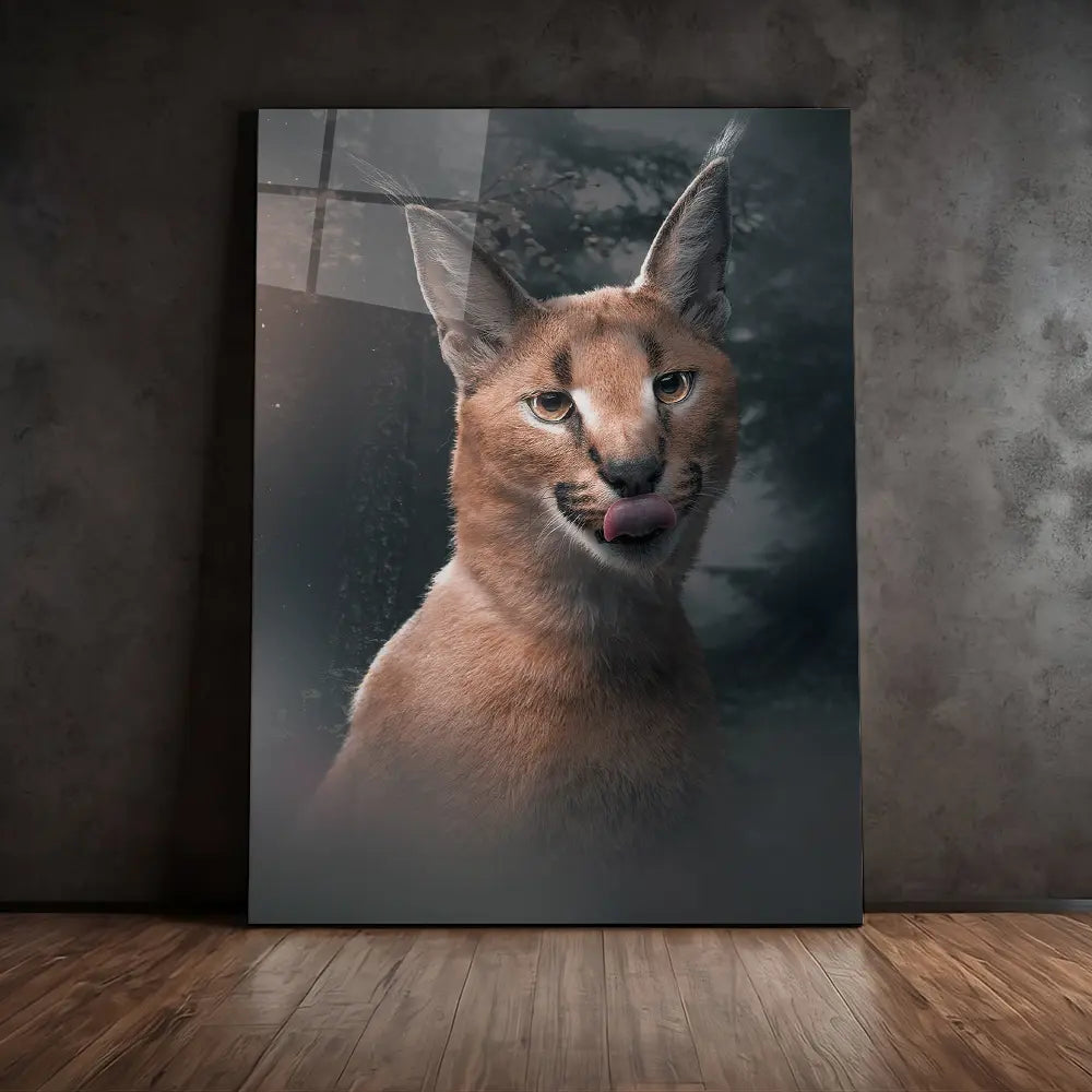Moody Caracal