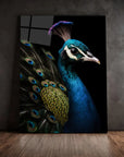 Peacock Black Portrait